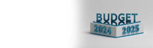 Interim Budget 2024 Sectoral Highlights Interim Budget 2024 Sectoral Highlights
